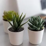 דירה Trio רייקה