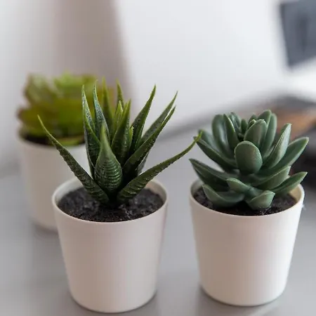 Apartament Trio Rijeka